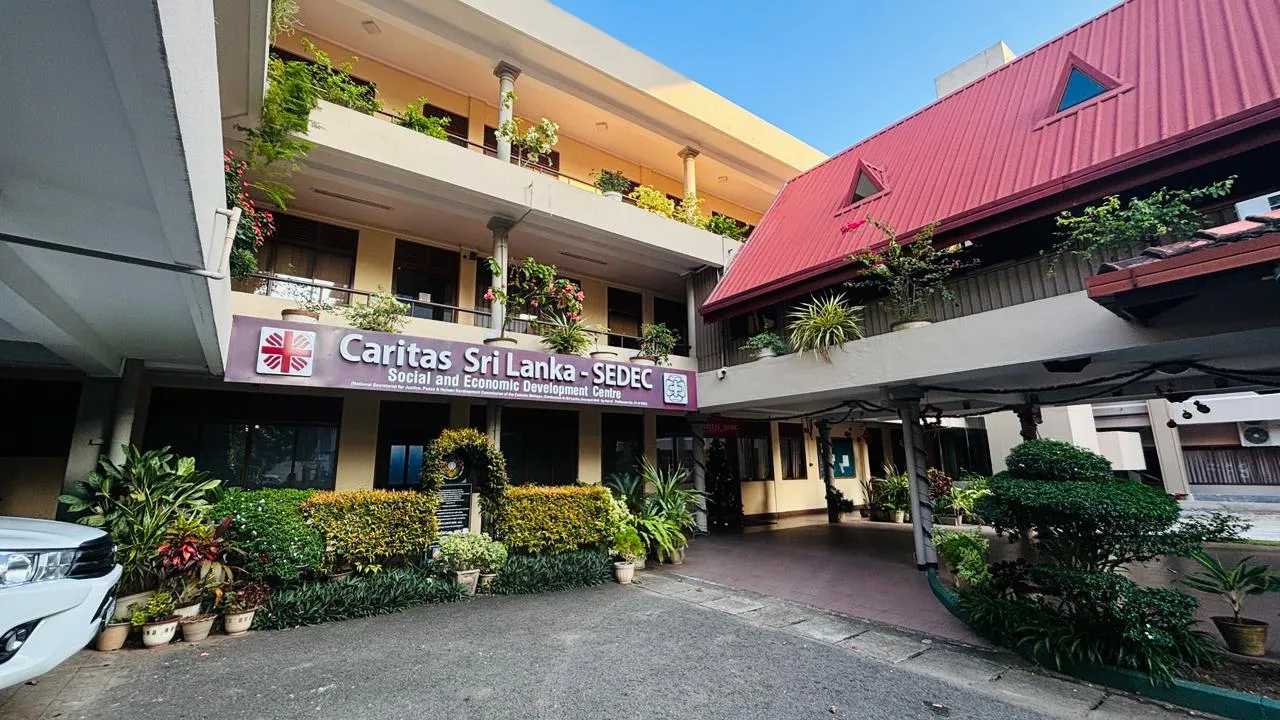 About Caritas background